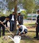 درختکاری در محوطه بیمارستان پاستور به مناسبت گرامیداشت هفته پرستار